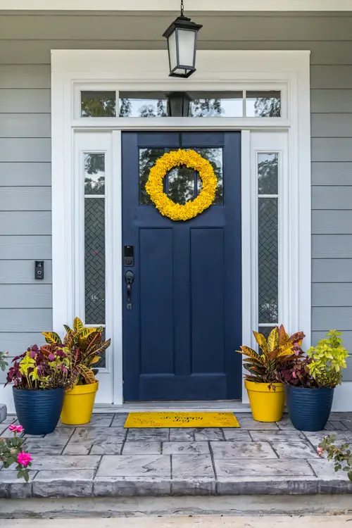 Best Entrance Plants Pictures 4