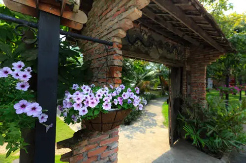 Best Entrance Plants Pictures 3