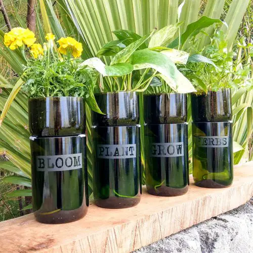 Best Places to Find Free Gardening Containers 4