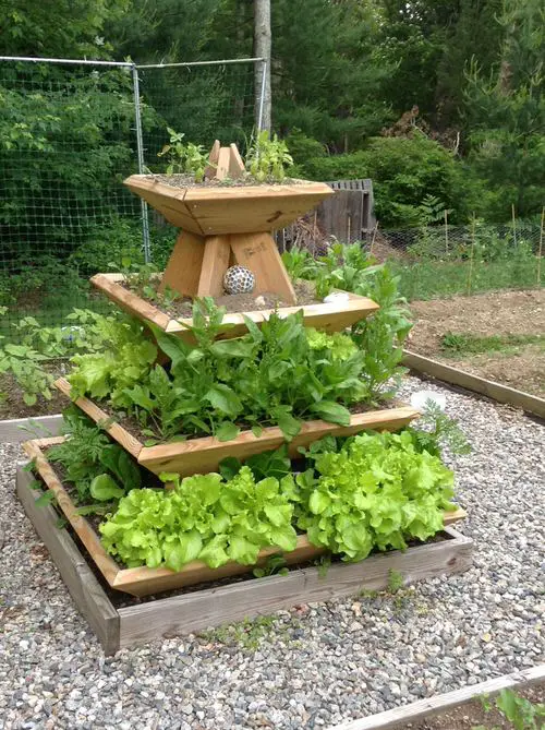 Vegetables to Grow Vertically in garden