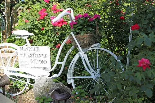 Instant Garden Makeover Tips in Budget