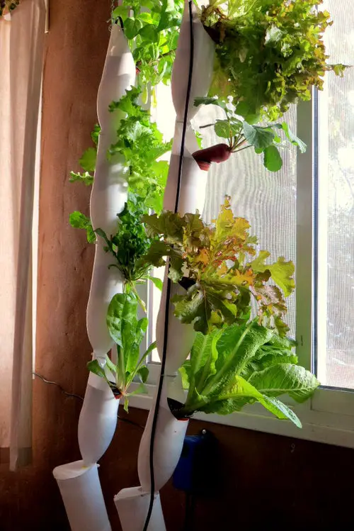 DIY Vertical Bottle Gardens 8