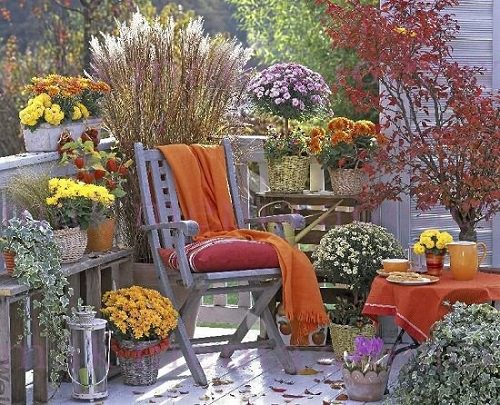 Fall Balcony Garden Balcony Flower Garden with Ornamental Grasses