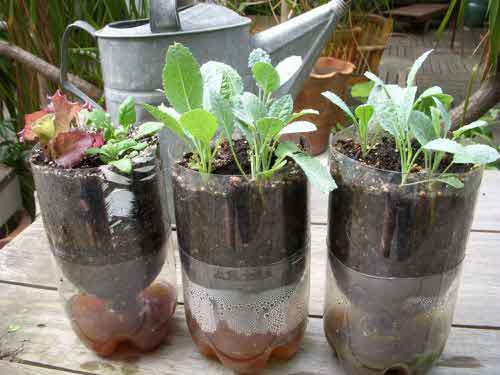 DIY Bottle Tower Garden Ideas 9