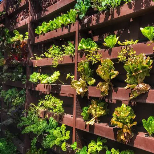 Edible Living Wall Ideas 6