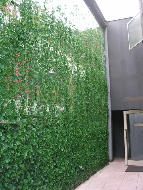 Privacy idea  12