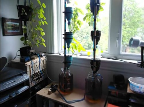 DIY Vertical Bottle Gardens 10