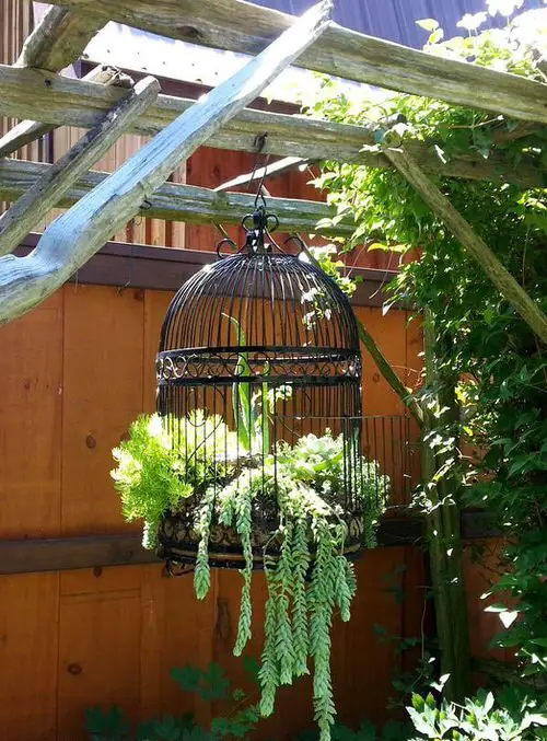 Ideas to Make Cheap Pots into Expensive DIY Planters 4