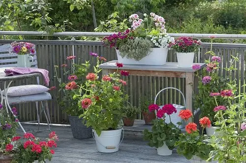 Pretty Flower Arrangement in Balcony