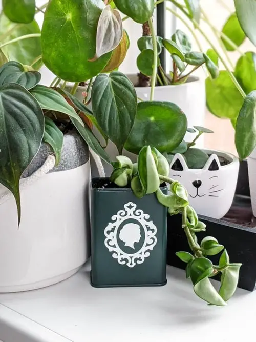 Ideas to Make Cheap Pots into Expensive DIY Planters 5
