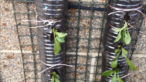 DIY Bottle Tower Garden Ideas 17