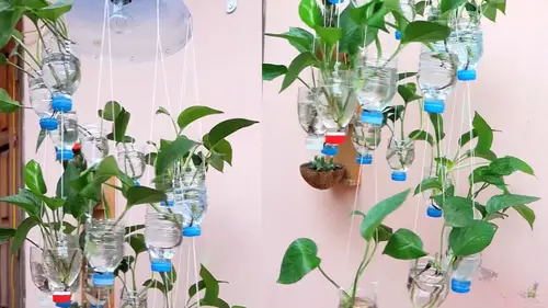DIY Vertical Bottle Gardens 18