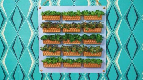 DIY Dollar Store Ideas 