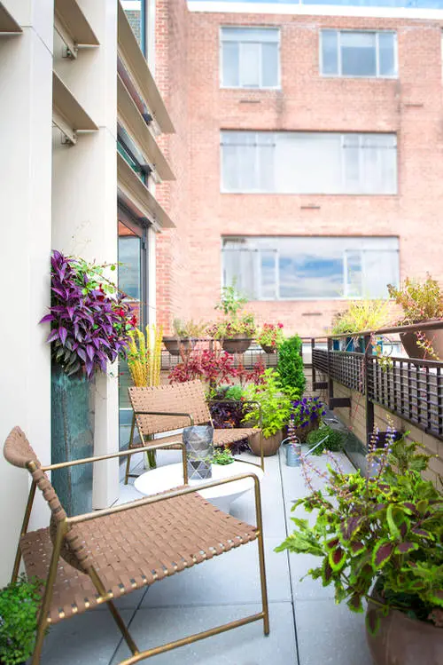An Urban Fall Balcony Garden