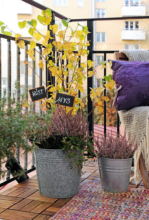 Fall Balcony Garden Colors of Fall in Galvanized Containers