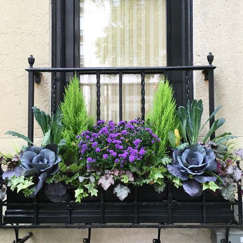 Mini Balcony with Ornamental Vegetables and Fall Plants