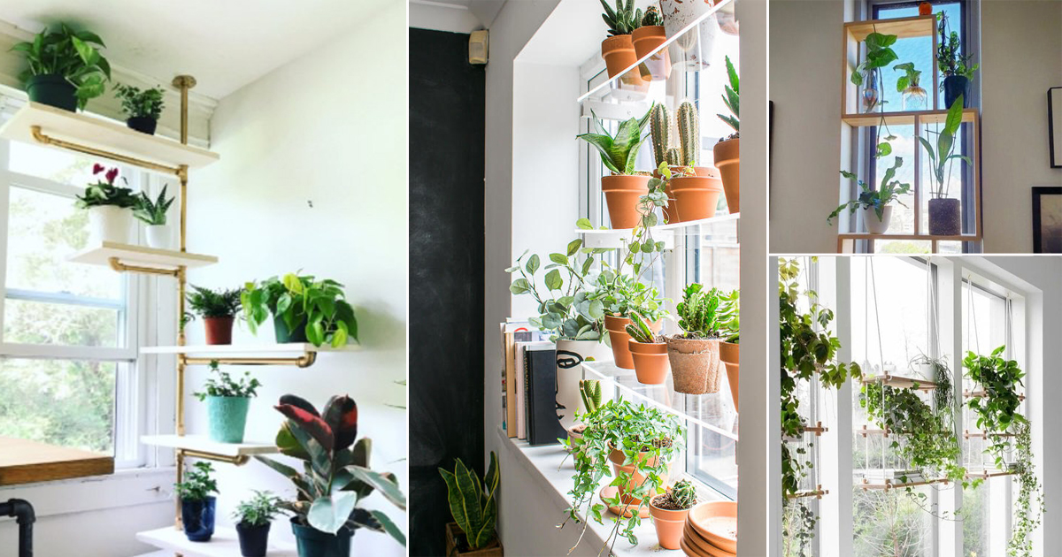 26 Practical Indoor Window Shelf Ideas for Plants