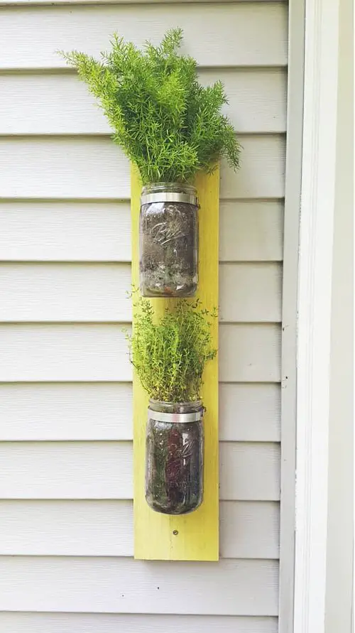 Mason Jar Planters on a Wooden Board