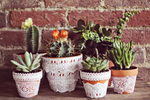Really Fun Indoor Garden Ideas 