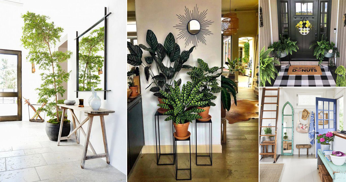 32 Beautiful Entryway Décor Ideas with Plants