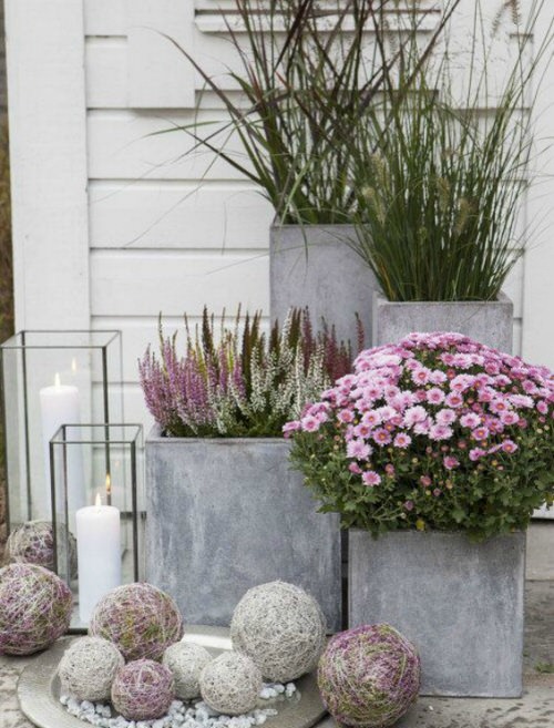 Fall Decor with Plants and Candles