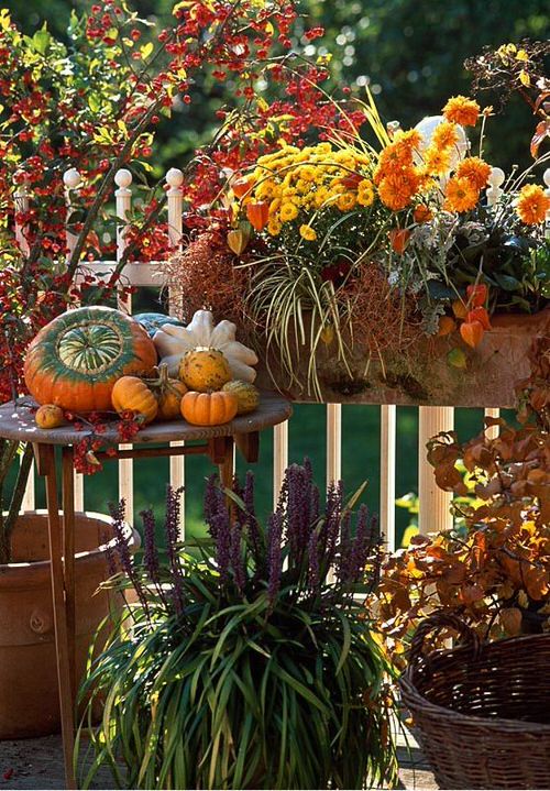 Balcony with a Burst of Fall Colors