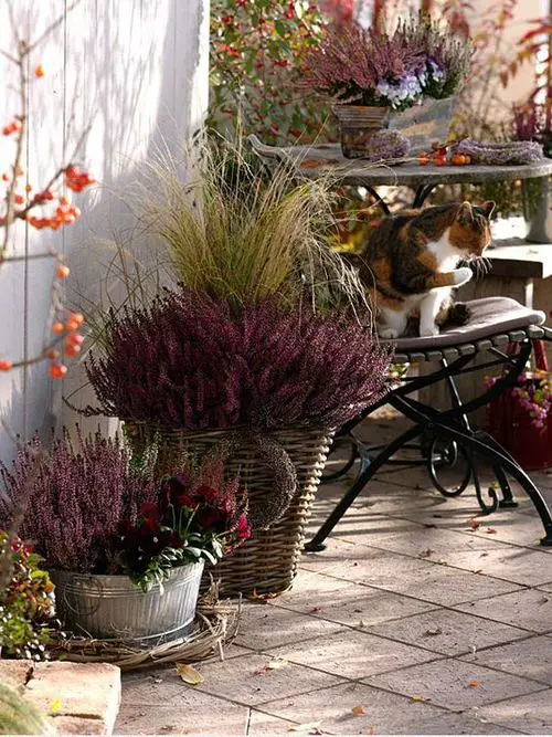 Fall Balcony Garden Bringing Autumn in Mini Outdoor Space