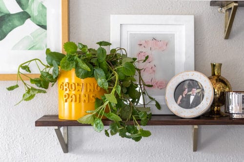 Ideas to Make Cheap Pots into Expensive DIY Planters 12