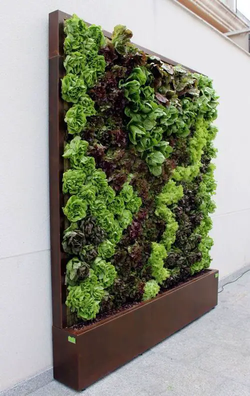 Edible Living Wall Ideas 2