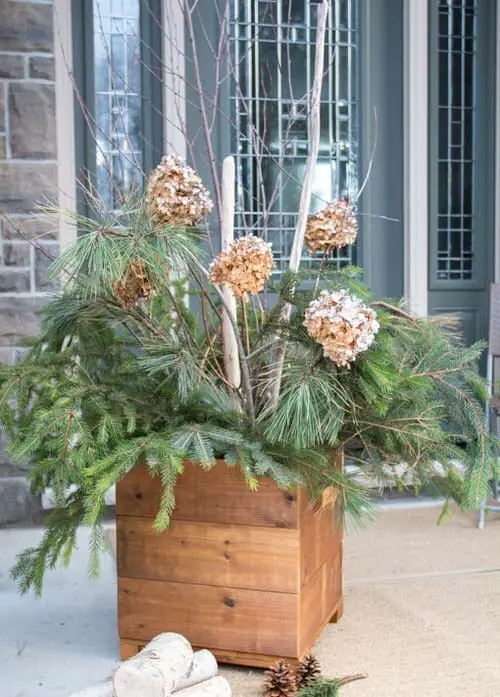 Ideas to Make Cheap Pots into Expensive DIY Planters