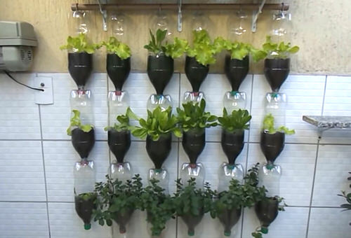 DIY Vertical Bottle Gardens 4