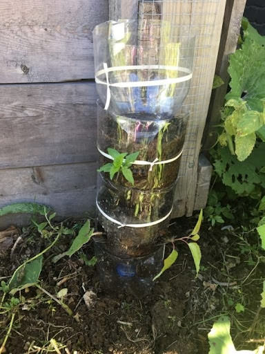 DIY Bottle Tower Garden Ideas 3