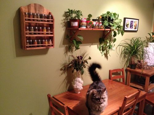 Crazy Things You Can Make with Pallets in Your Home