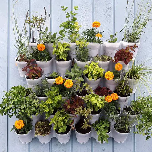 Edible Living Wall Ideas 4