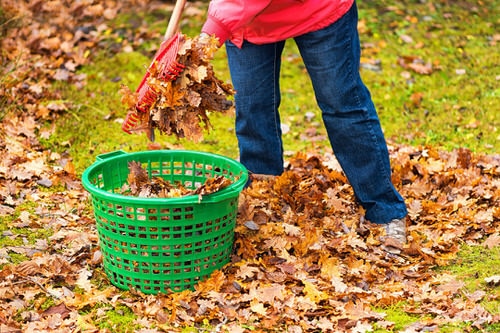 What to Do in Garden in October