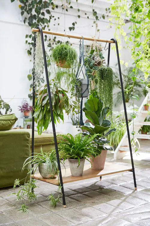 Clothing Rack with Hanging Plants