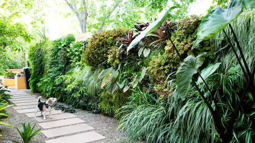 Cheap Ways to Block Neighbor’s Views in Gardens & Backyards 9