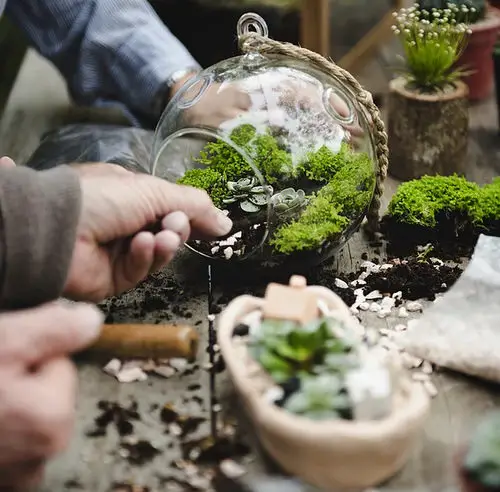Make a Terrarium Garden