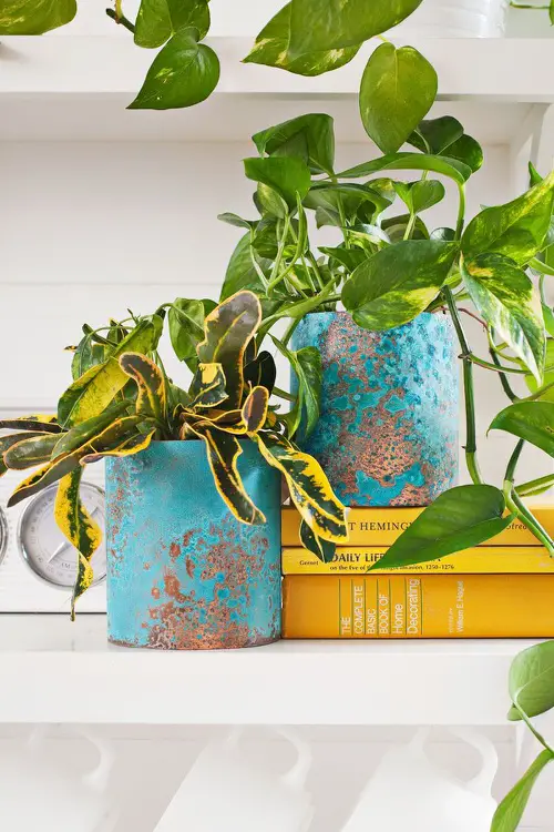 Ideas to Make Cheap Pots into Expensive DIY Planters 15