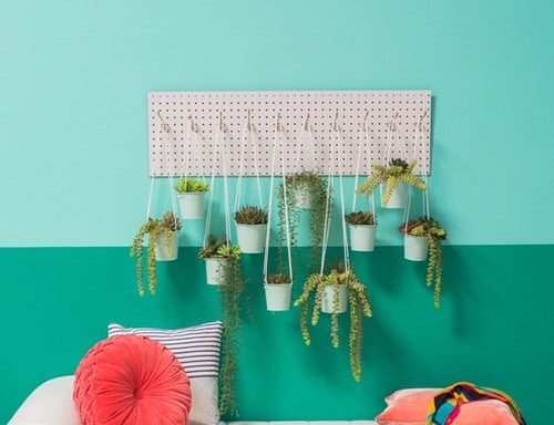 Clever Plant Hanging Hacks that Won't Damage YourPegboards