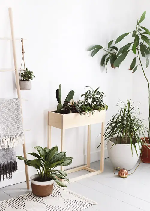 Ideas to Make Cheap Pots into Expensive DIY Planters 18