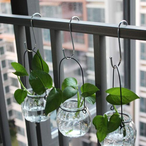 Clever Plant Hanging Hacks S-Hooks