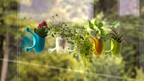 Clever Plant Hanging Hacks that Won't Damage Your Suction Cup Hangers