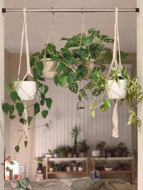 Clever Plant Hanging Hacks that Won't Damage Your Ceiling or Wall ension Rods