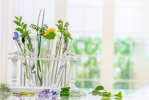 Indoor Test Tube Propagation Center