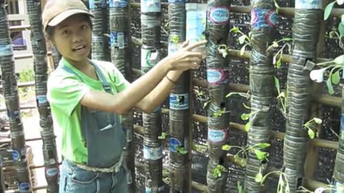 DIY Vertical Bottle Gardens 16