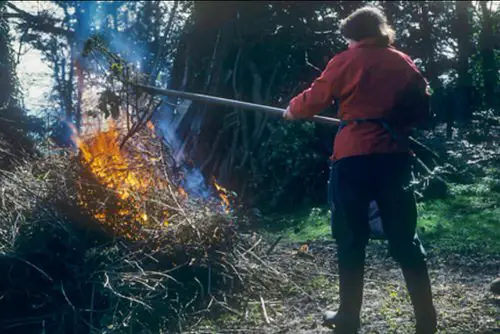 Tips to Dispose Diseased and Damaged Burn them to Ashes