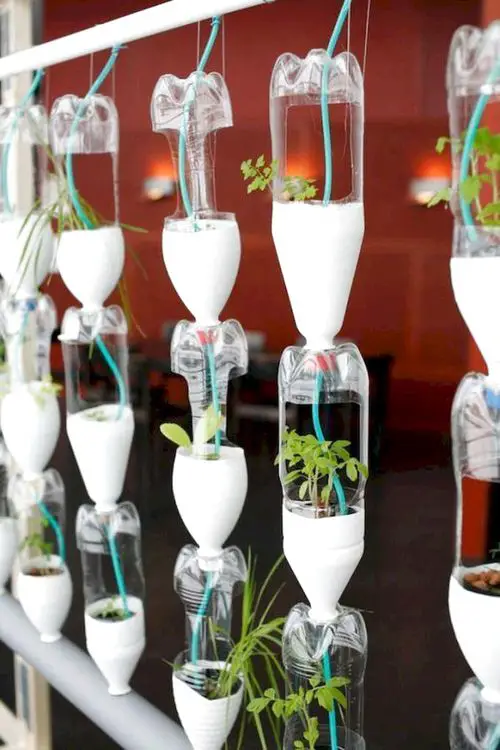 DIY Vertical Bottle Gardens 14