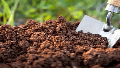 Improve the Condition of Garden Soil
