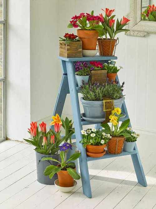 Really Fun Indoor Garden Ideas Install a Ladder Garden